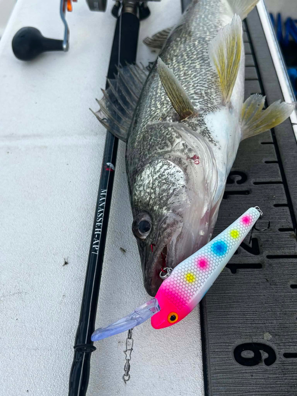 Ice Strong Outdoors - Killer Fish - Rattling DEEP Diver UV- 6 DEEP DIVER & BOX RESTOCKED SEPT 10! - add this to your cart and in the notes write your 6 plugs selection!