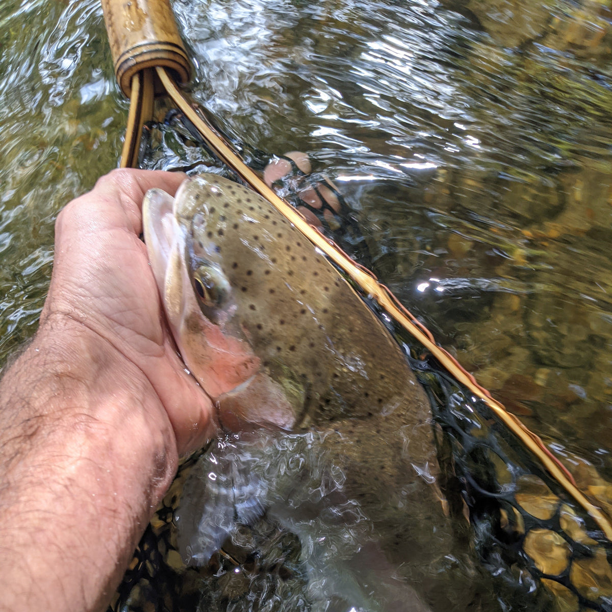 Blue Line Wide - Bamboo Fly Fishing Landing Net/Hand Net